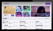 雷石系统